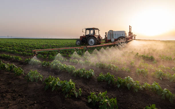 Best Pest Removal Services  in Valparaiso, IN