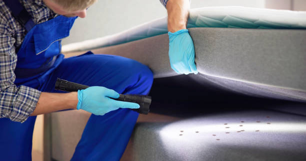 Flea Control Services in Valparaiso, IN