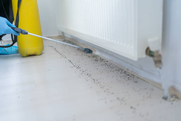 Best Affordable Pest Control Services  in Valparaiso, IN