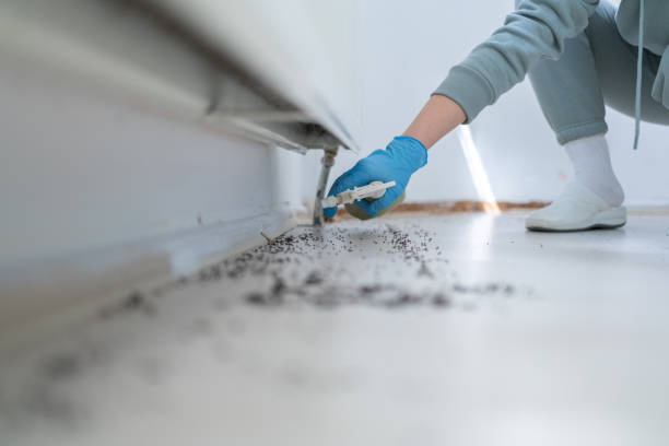 Best Best Pest Control Companies  in Valparaiso, IN